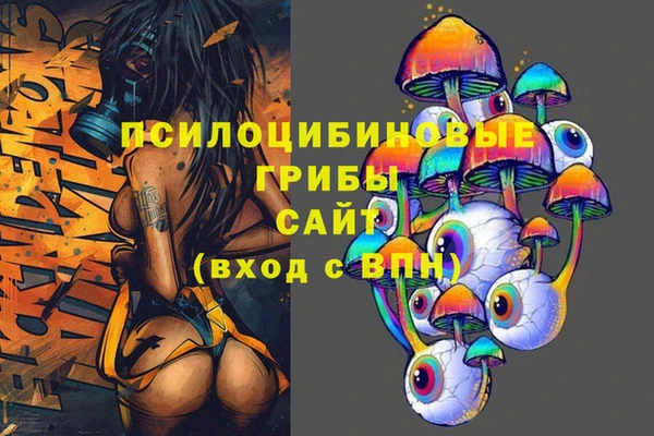 шишки Богородицк